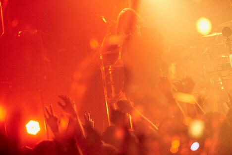 ずっと真夜中でいいのに。「1st LIVE ～まだまだ偽りでありんす。～」の様子。（撮影：鳥居洋介）