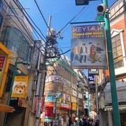 東京・下北沢の南口商店街の街路灯フラッグ。
