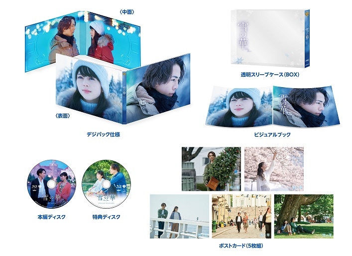 登坂広臣×中条あやみ「雪の華」BD/DVDにプレミアムトークや未公開映像