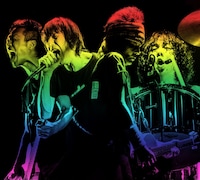 ザ・クロマニヨンズ