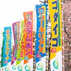 ゴダイゴやCorneliusが国技館で熱演、新フェス「Q」が終幕