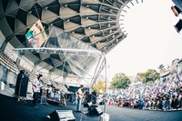 シャムキャッツ（撮影：小杉歩）