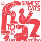 シャムキャッツ、デビュー10周年記念で新木場STUDIO COASTワンマン開催