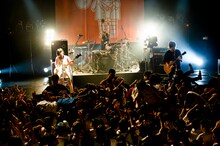 「au Presents ヤバイTシャツ屋さん ～au癒着記念、意識ヤバすぎ！ヤバ杉くんライブ～ in association with Apple Music BIGCAT 20th Anniversary」の様子。（Photo by Yukihide "JON…" Takimoto ）