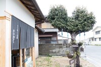 “LOVE LOVE LOVEの木”は、人気の撮影スポット。