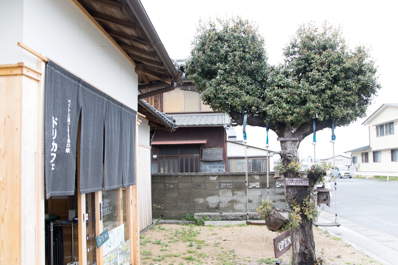 “LOVE LOVE LOVEの木”は、人気の撮影スポット。