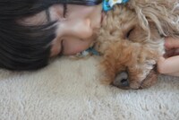 辻野かなみとくま。