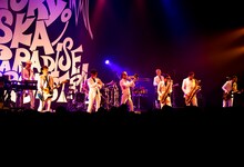 東京スカパラダイスオーケストラ「30th Anniversary Live『Are you ready for TOKYO SKA?』」の様子。（撮影：関瑠惟）