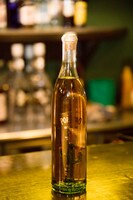 ポルフィディオ。サボテンが中に入っている。