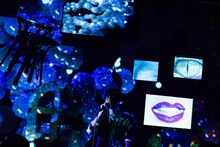 神山羊 プレミアムワンマンライブ「しあわせなおとなが眠るとき」の様子。（Photo by Ryuichi Taniura）