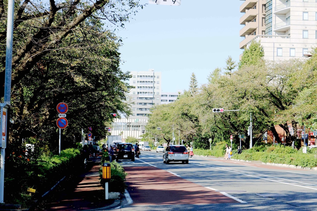 かつて三角屋根の駅舎があった、国立駅南口の街並み。
