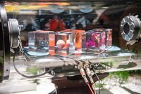 「hide×エムズシステムスピーカーVDRS hide model【HEADWAX】」外観