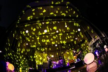 Saucy Dog「YAON de WAOOON in TOKYO」の様子。（撮影：白石達也）