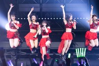 「こぶしファクトリー ファーストコンサート2019 春麗 ～GWスペシャル～」東京・中野サンプラザホール公演の様子。（写真提供：アップフロントグループ）