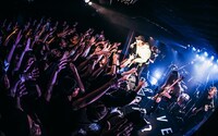 Survive Said The Prophet「Now more than ever Tour」岐阜公演の様子。(c)toya