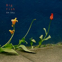 王舟「Big fish」ジャケット