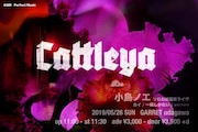小島ノエ・ソロお披露目「Cattleya」告知ビジュアル