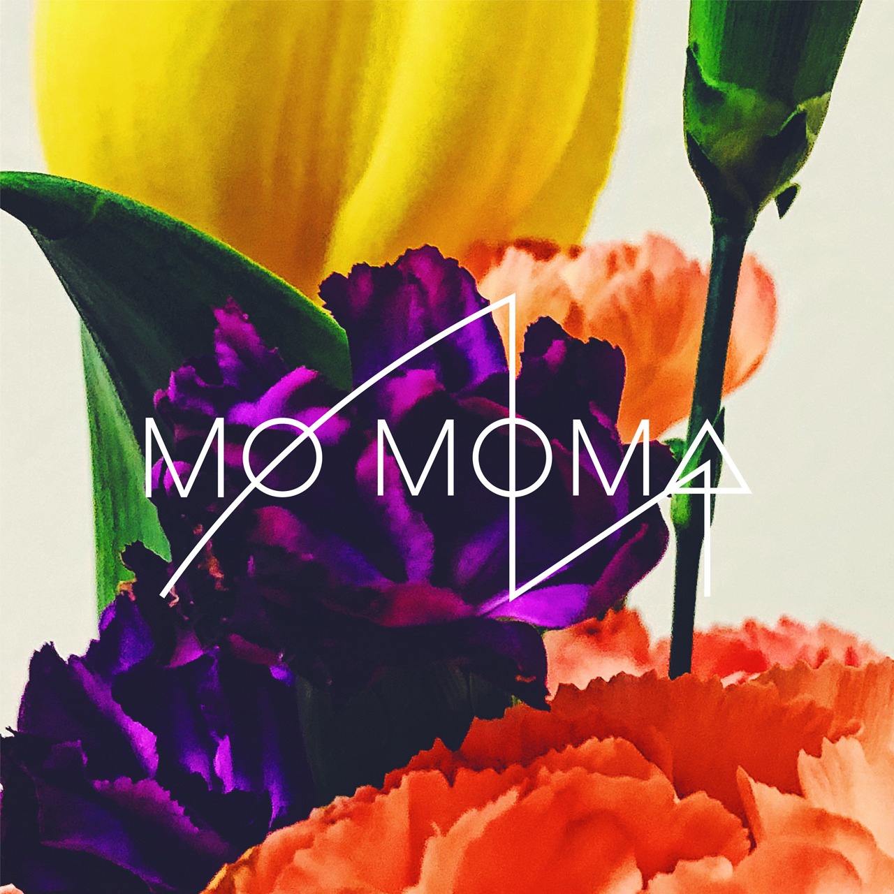 MO MOMA