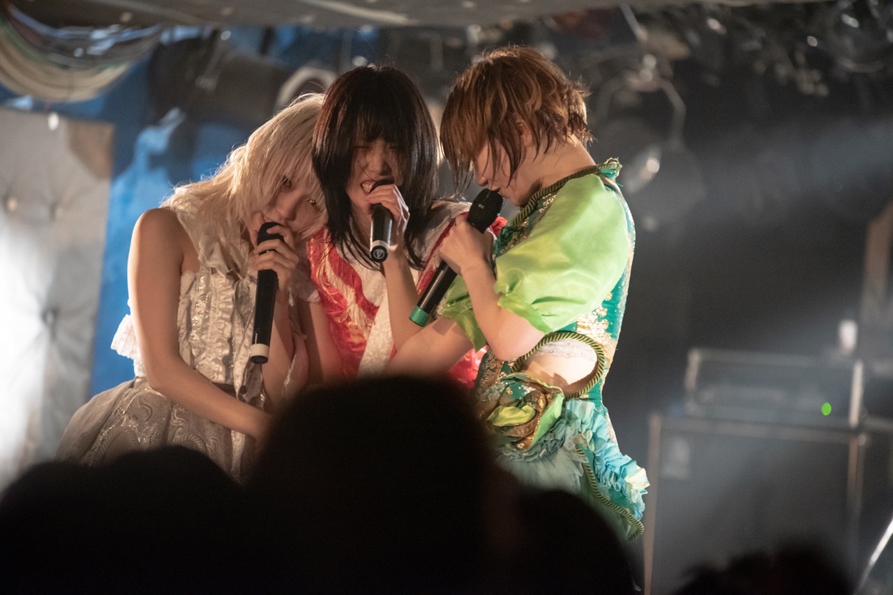 ぜんぶ君のせいだ。（撮影：関上貴也）