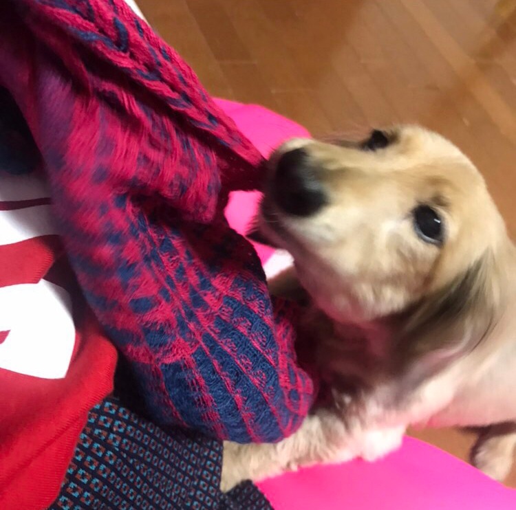 レオン