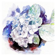 眩暈SIREN「紫陽花」配信ジャケット