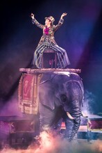 松任谷由実（撮影：田中聖太郎）