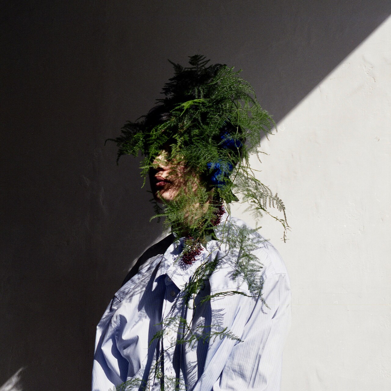 向井太一が新作「27」配信、対バンツアーにtofubeatsら