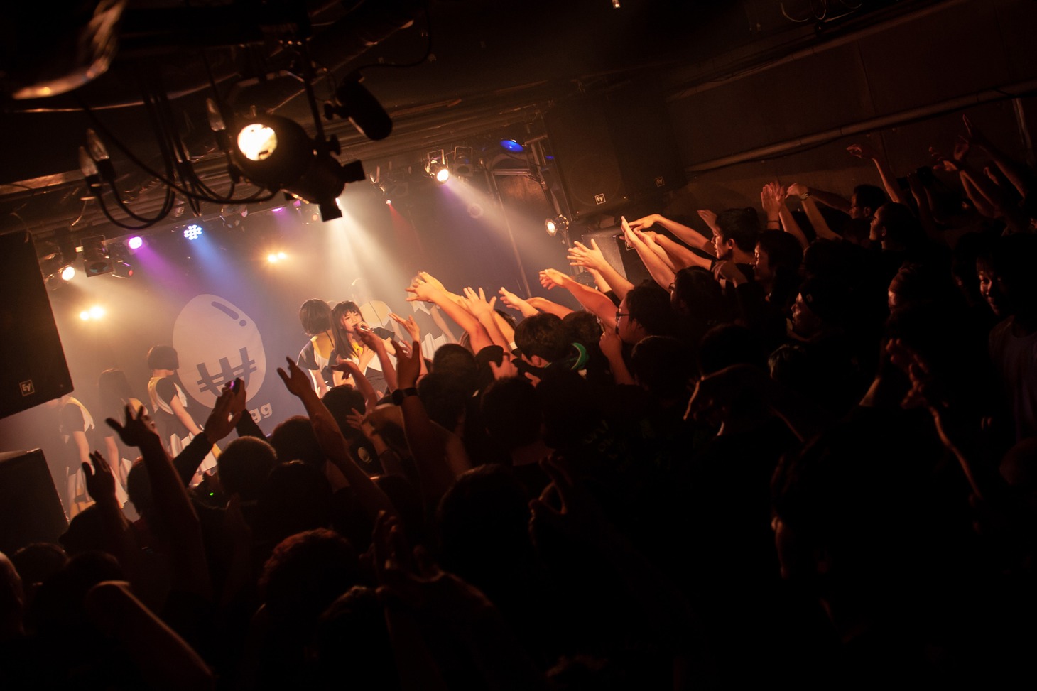 WAgg（Photo by Jumpei Yamada）