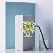 uijin「アンリミッター」ジャケット