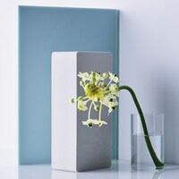 uijin「アンリミッター」ジャケット