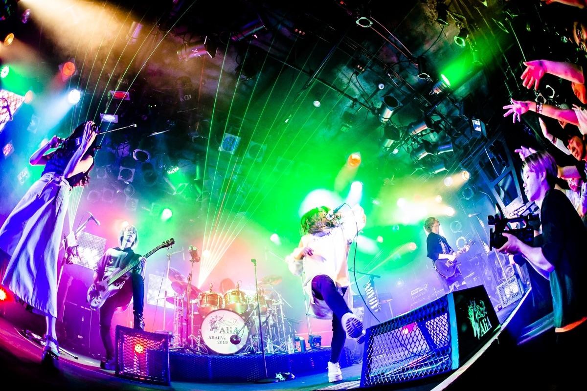 AliA「AliAliVe 2019」東京・渋谷CLUB QUATTRO公演の様子。（Photo by @cazrowAoki）