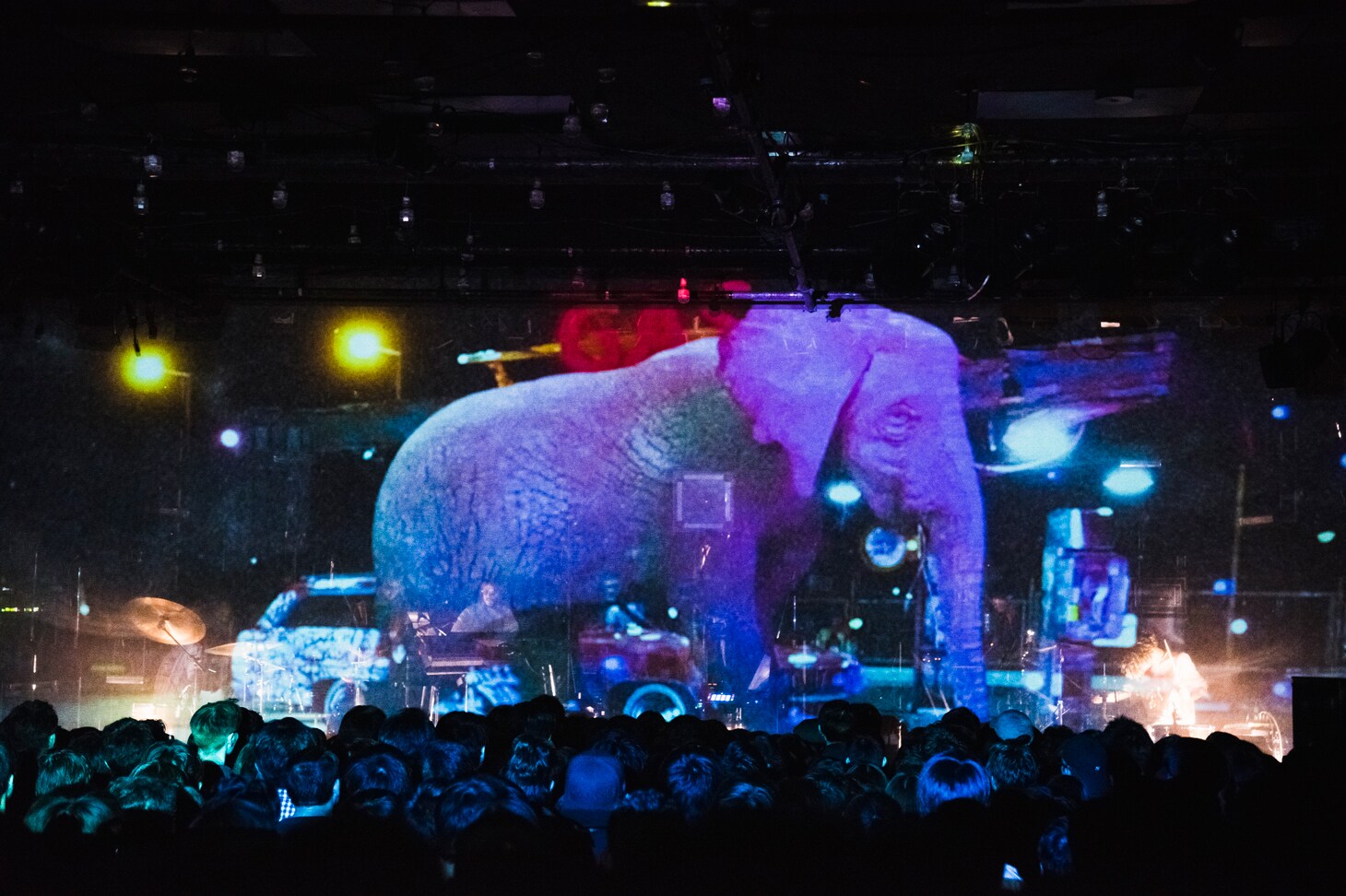 King Gnu millennium parade アルバム購入特典 ポスター ミレニアム