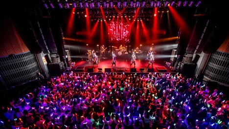 mono palette.（Photo by Viola Kam / V'z Twinkle）