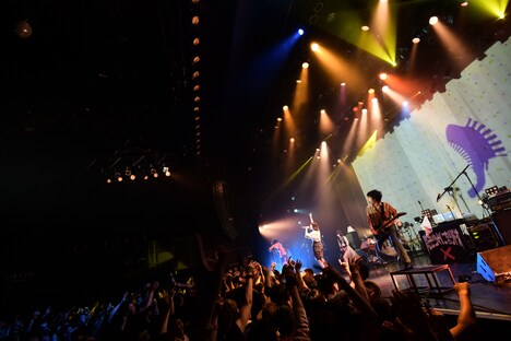 「魔法少女になり隊 ONE MAN TOUR 2019 ~Aを取り戻せ!~」東京・マイナビBLITZ赤坂公演の様子。(Photo by Yusuke Sato)