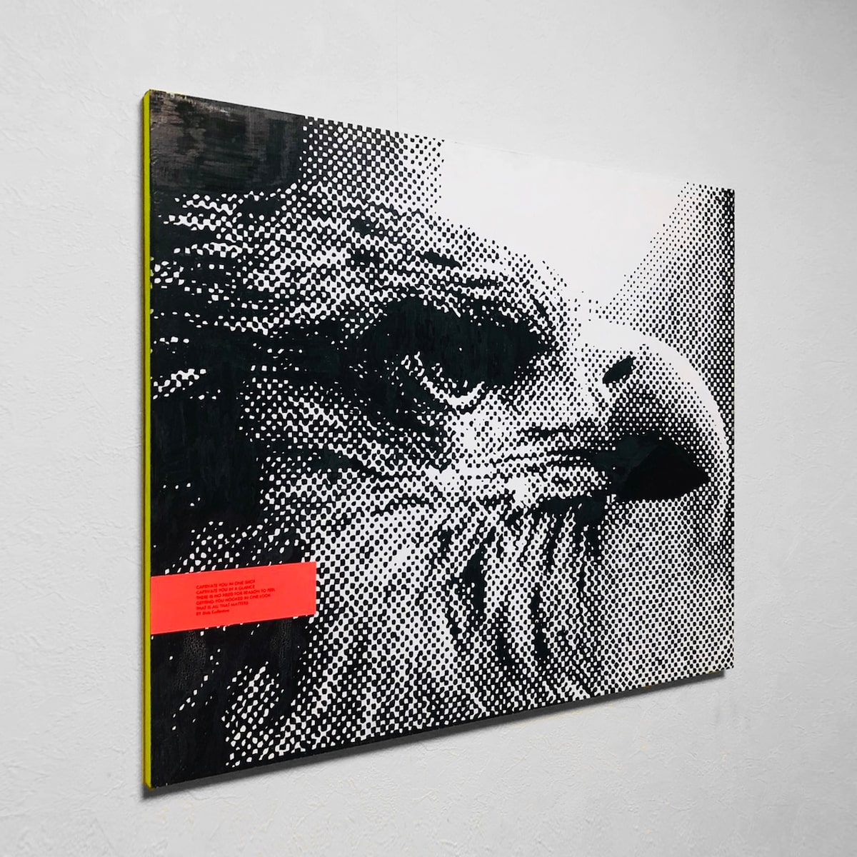 DOTS COLLECTIVE「『CAPTIVATE』Exhibition tour」で展示される予定の 