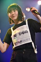 桜ひなの（いぎなり東北産）