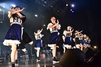 「いぎなり東北産（様）×桜エビ～ず～仲良くなんてできないよ！～」の様子。