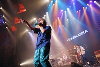 ビッケブランカ (c)NOW PLAYING JAPAN LIVE vol.3 / 撮影：関口佳代