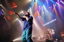 ビッケブランカ (c)NOW PLAYING JAPAN LIVE vol.3 / 撮影：関口佳代