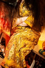 中納良恵（Vo）（撮影：藤井拓）