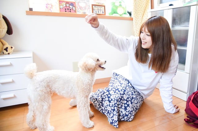 プー・ルイとコタロー。