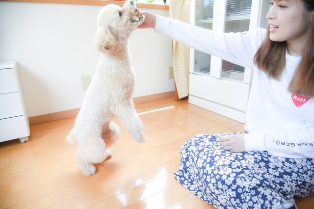 プー・ルイとコタロー。