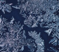 THA BLUE HERB「THA BLUE HERB」初回限定盤ジャケット