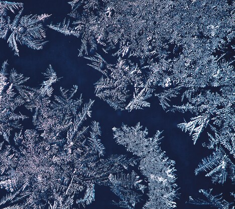 THA BLUE HERB「THA BLUE HERB」生産限定盤ジャケット