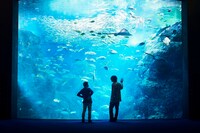 人気画像2位は「米津玄師、映画『海獣の子供』原作者の五十嵐大介と新江ノ島水族館で対談」より、左から五十嵐大介、米津玄師。（撮影：太田好治）