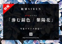 眩暈SIREN「滲む錆色 / 紫陽花」告知画像