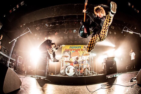 FOMARE(Photo by masalivephoto)