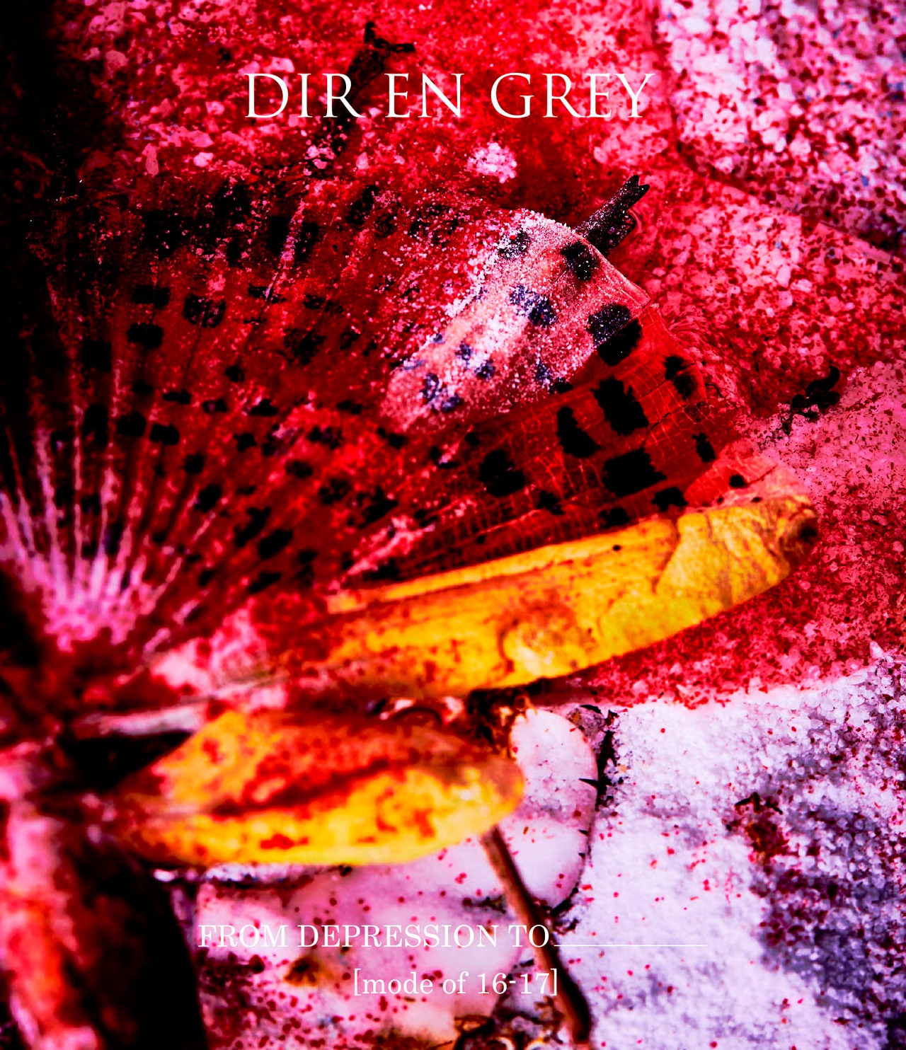 DIR EN GREY「FROM DEPRESSION TO ________ ［mode of 16-17］」Blu-ray盤ジャケット