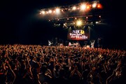 NICO Touches the Walls「NICO Touches the Walls TOUR "MACHIGAISAGASHI '19" -QUIZMASTER-」TOKYO DOME CITY HALL公演の様子。(撮影:岡田貴之)