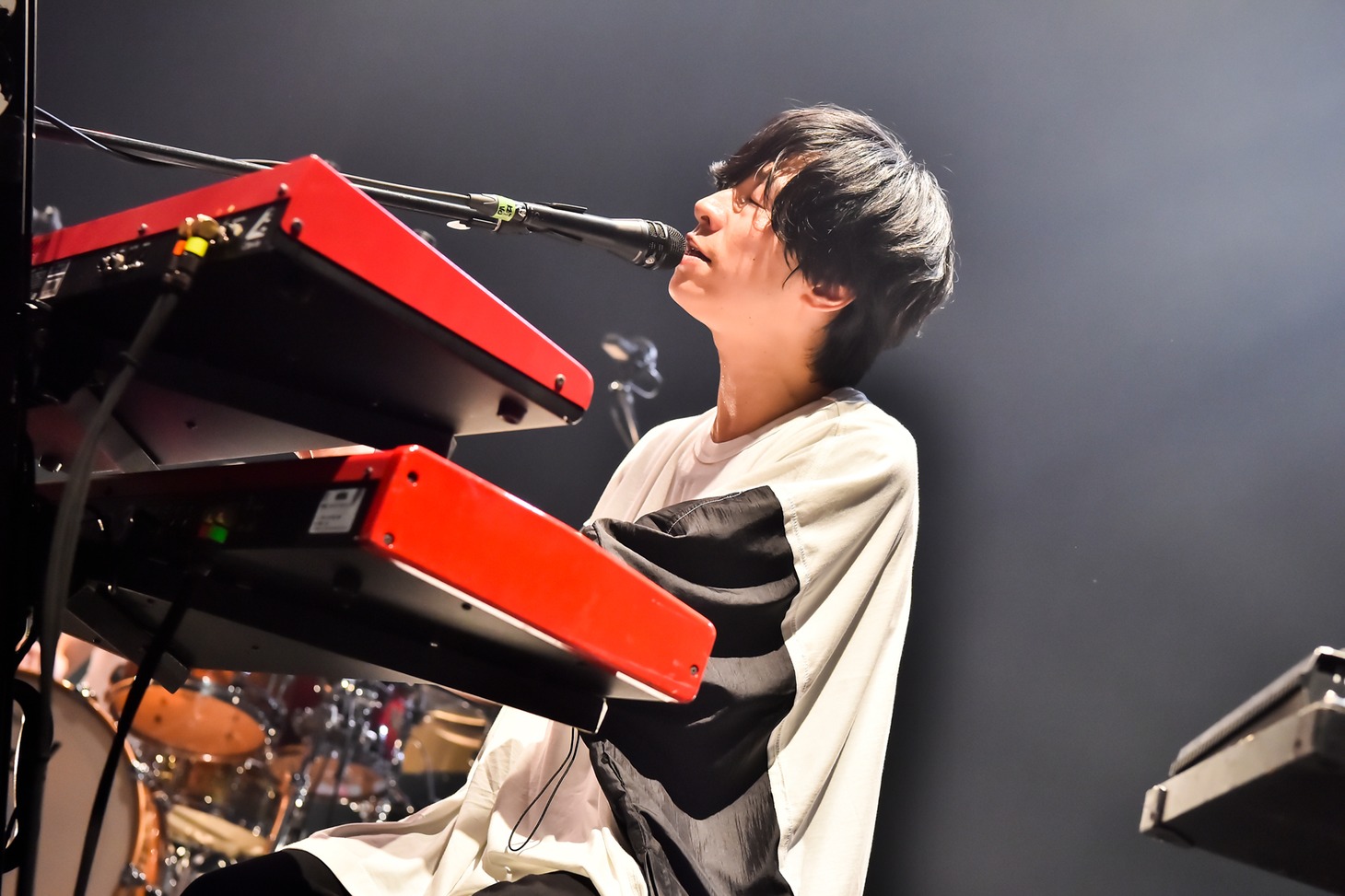 ホリエアツシ（Vo, G, Piano / ストレイテナー）（Photo by AZUSA TAKADA）